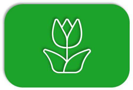 Display image for Gardening